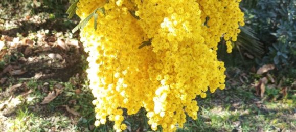 Casa de 2 dormitorios en Linguaglossa, Italy No. 349404 22