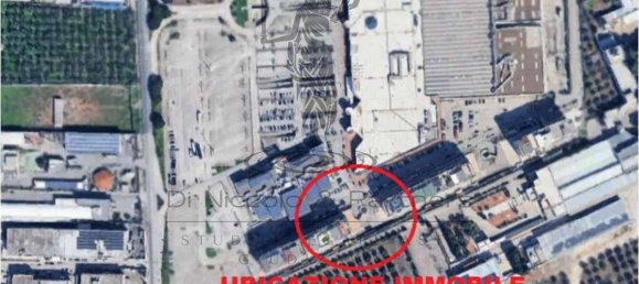 5 rooms Apartment in Andria, Italy No. 185879 2