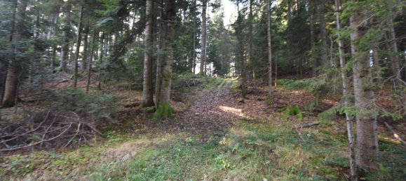 100000m² Land in Spittal an der Drau, Austria No. 148354 4
