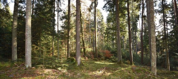 100000m² Land in Spittal an der Drau, Austria No. 148354 5