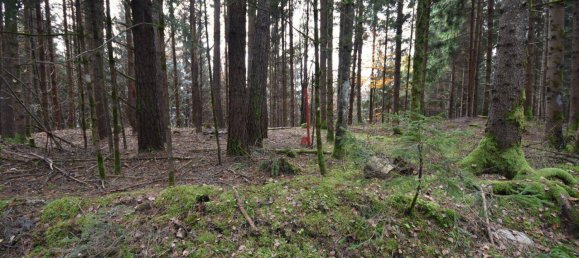 100000m² Land in Spittal an der Drau, Austria No. 148354 3