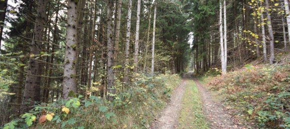 100000m² Land in Spittal an der Drau, Austria No. 148354 2