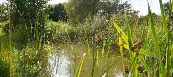 6-salle Ferme à Cuxhaven, Germany No. 284650 37