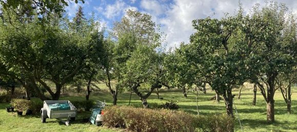 6-Zimmer Stadthaus in Rostock, Germany, Nr. 106716 3