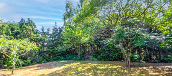 4 rooms House in Markisch-Oderland, Germany No. 262381 6