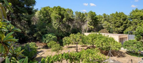 4 bedrooms Villa in Nova Santa Ponsa, Spain No. 176891 16