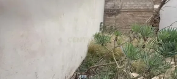 Terrain à Santa Cruz de Tenerife, Spain No. 188542 2