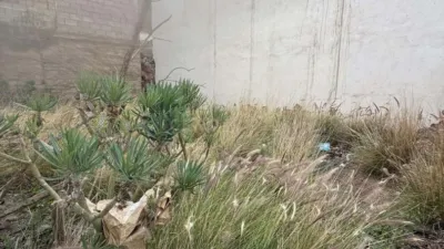 Terrain à Santa Cruz de Tenerife, Spain No. 188542