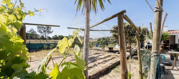 3 chambres Châteaux à Odemira, Portugal No. 43676 28