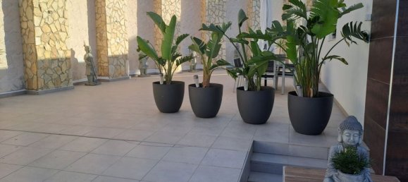 6 bedrooms Villa in Ciudad Quesada, Spain No. 183567 49