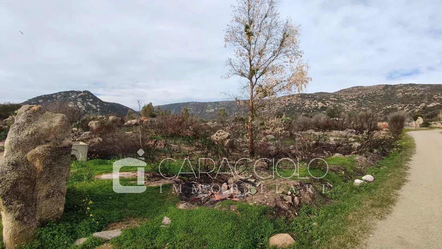  قطعة أرض في San Teodoro, Italy رقم 326905