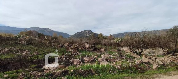  قطعة أرض في San Teodoro, Italy رقم 326905 2