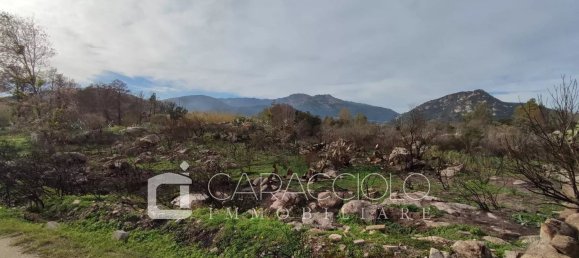  قطعة أرض في San Teodoro, Italy رقم 326905 3