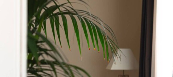 4 bedrooms Apartment in Turin, Italy No. 313761 43