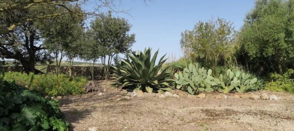 5 chambres Maison à Mallorca, Spain No. 155318 33