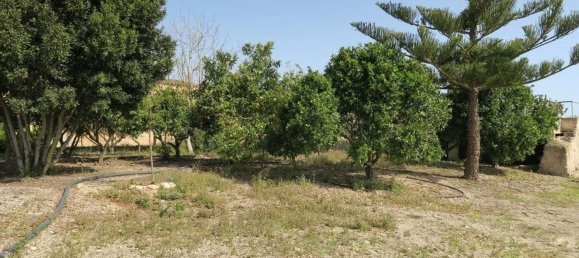 5 chambres Maison à Mallorca, Spain No. 155318 34