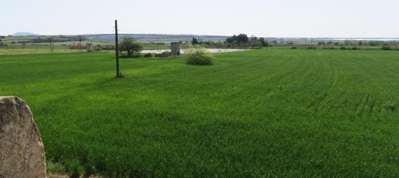 5 chambres Maison à Mallorca, Spain No. 155318 35