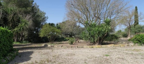 5 chambres Maison à Mallorca, Spain No. 155318 32