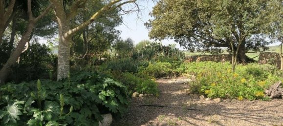 5 chambres Maison à Mallorca, Spain No. 155318 42