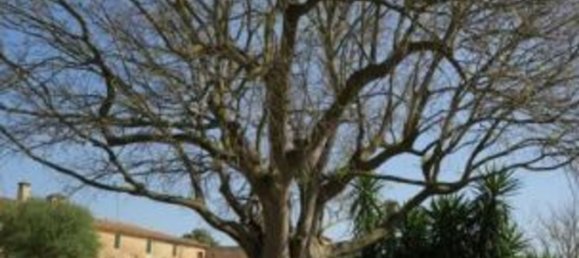 5 chambres Maison à Mallorca, Spain No. 155318 46