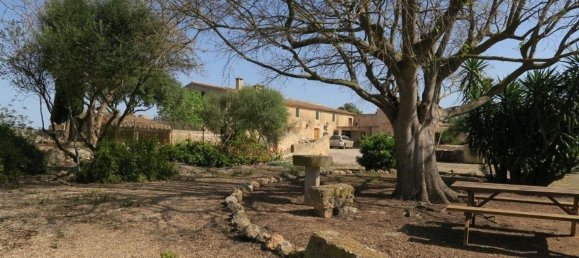 5 chambres Maison à Mallorca, Spain No. 155318 41