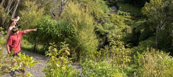 Grundstück in Whitby, New Zealand, Nr. 170 7