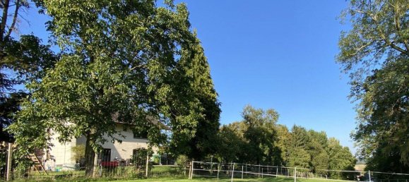 4 bedrooms House in Traunstein, Germany No. 219137 24