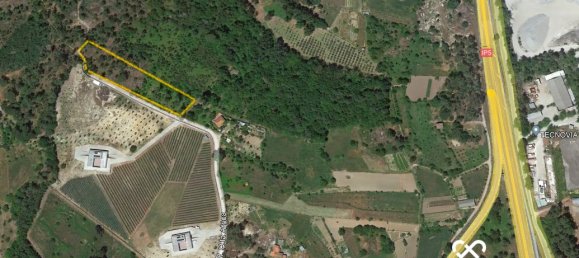  Land in Viseu, Portugal No. 65456 7