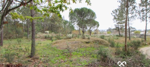  Land in Viseu, Portugal No. 65456 4