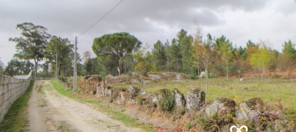  Land in Viseu, Portugal No. 65456 6