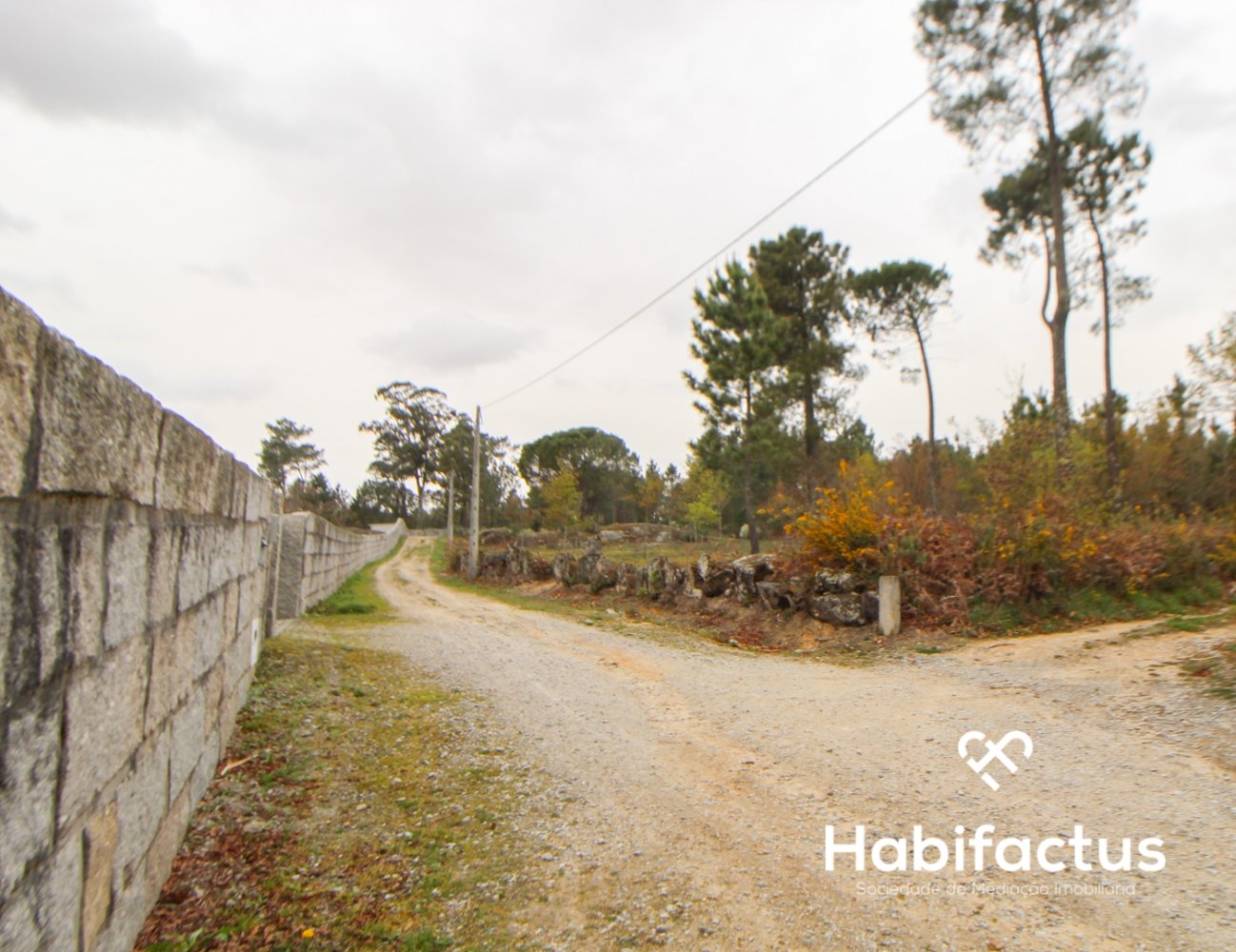  Land in Viseu, Portugal No. 65456