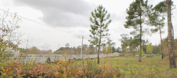  Land in Viseu, Portugal No. 65456 2