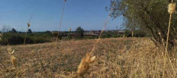 3750m² Land in Giffoni Valle Piana, Italy No. 271845 7