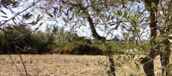 3750m² Land in Giffoni Valle Piana, Italy No. 271845 5