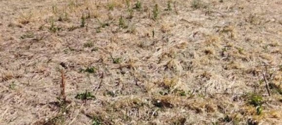 3750m² Land in Giffoni Valle Piana, Italy No. 271845 2