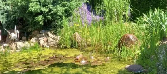 4 bedrooms Townhouse in Soest, Germany No. 232438 32