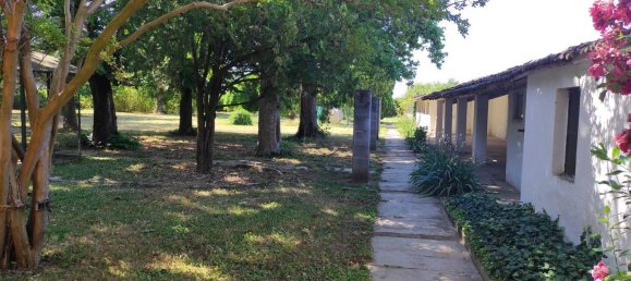 6 rooms Villa in Alessandria, Italy No. 52155 20