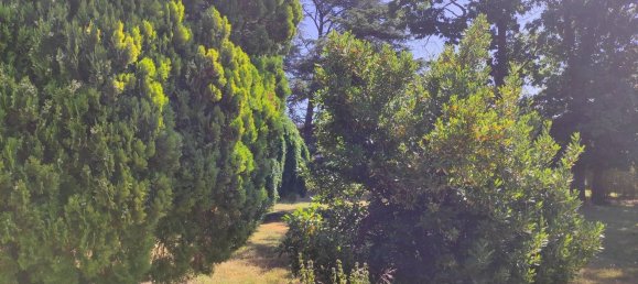 6 rooms Villa in Alessandria, Italy No. 52155 28