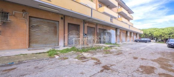1-Zimmer Gewerbliche Immobilie in Porto Sant'Elpidio, Italy, Nr. 210729 17