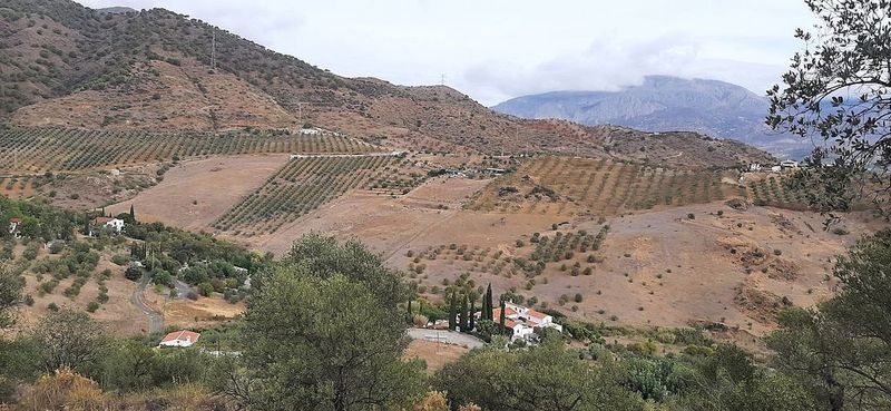 Terrain à Alora, Spain 35675m² No. 222979