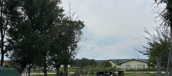 Terreno en Matzendorf-Holles, Austria No. 229917 3