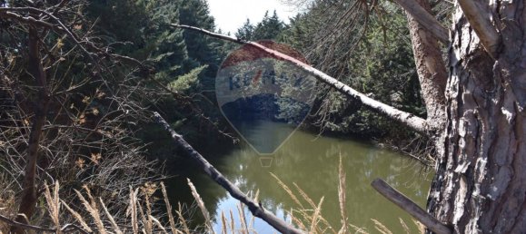 Villa de 3 dormitorios en Monreale, Italy No. 51721 44