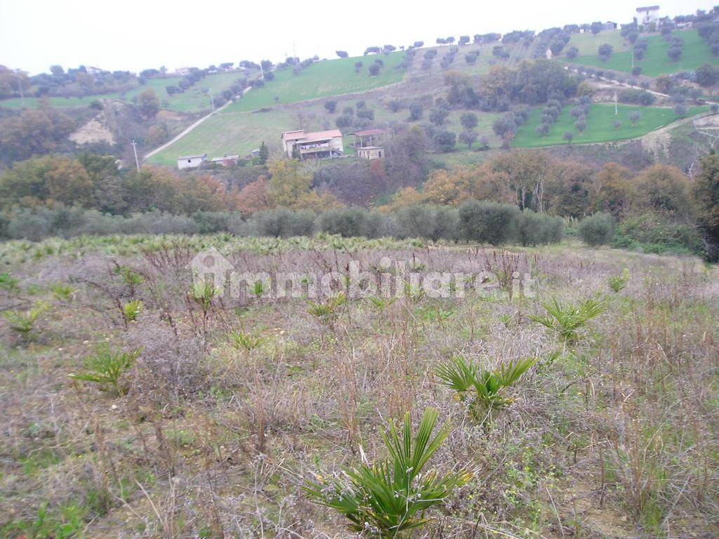 9 bedrooms House in Grottammare, Italy No. 164199