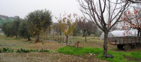 9 bedrooms House in Grottammare, Italy No. 164199 2