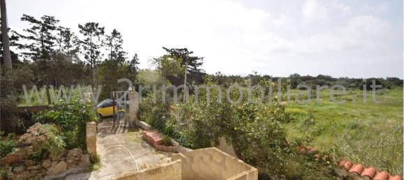 Studio in Mazara del Vallo, Italy, Nr. 224107 29