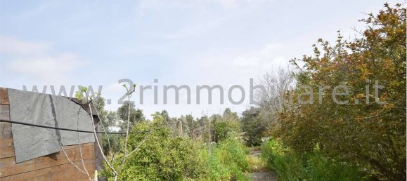 Studio in Mazara del Vallo, Italy, Nr. 224107 10