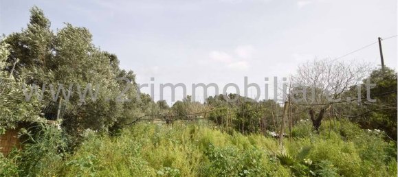 Studio in Mazara del Vallo, Italy, Nr. 224107 9