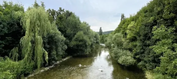 3-Zimmer Wohnung in Pottenstein, Austria, Nr. 192727 37