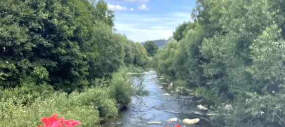 3-Zimmer Wohnung in Pottenstein, Austria, Nr. 192727 36