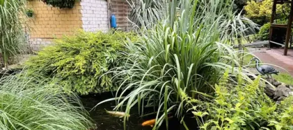 Moradia em banda de 9 divisões em Recklinghausen, Germany N.º 288468 8